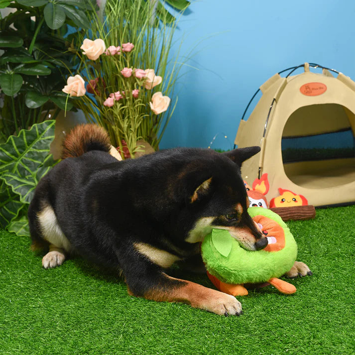 HugSmart Camping Pups - Camping Avocado