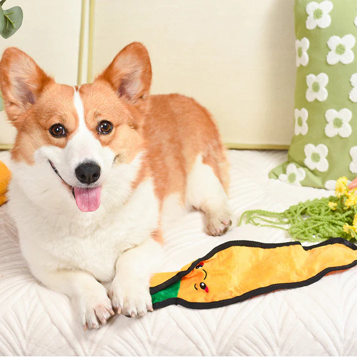 Hugsmart - Squeakin' Vegetables - Carrot