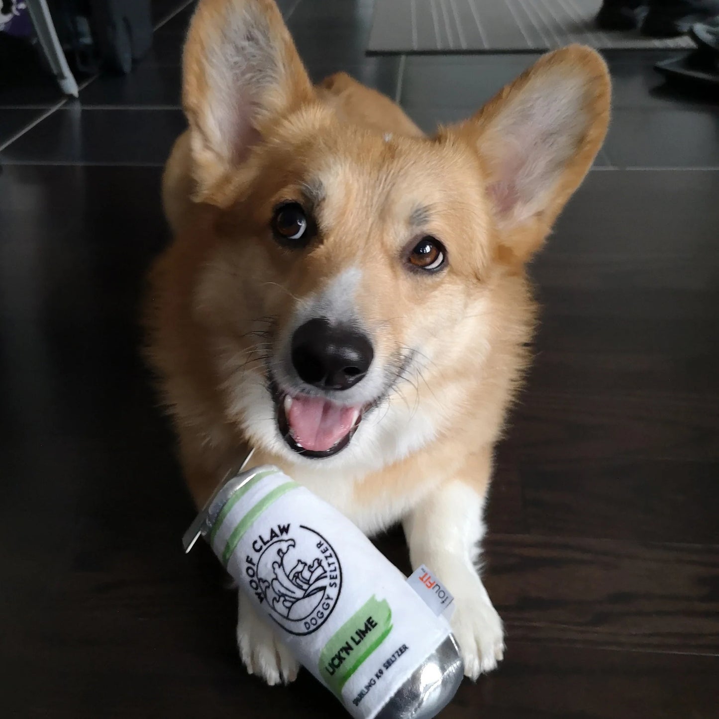 Fou Fou Brands Woof Claw Plush Lick'n Lime