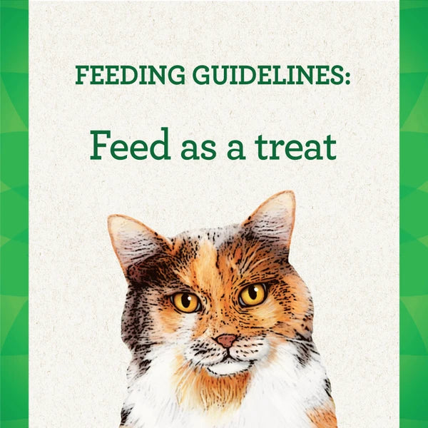 Greenies Feline Pill Pockets Chicken Flavour 45g