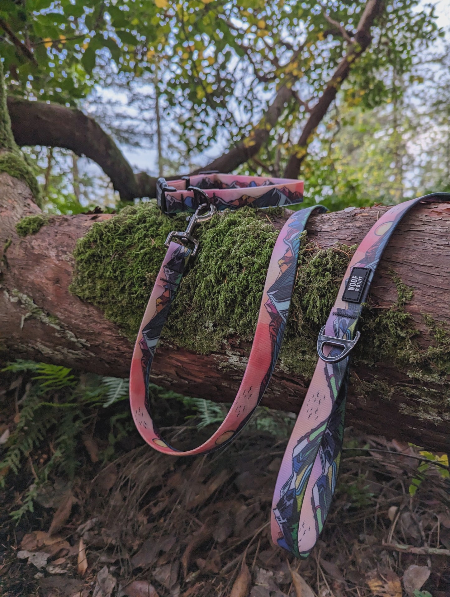 Woof & Stuff - Sunrise Peaks Waterproof Leash - 1" - 6 Ft