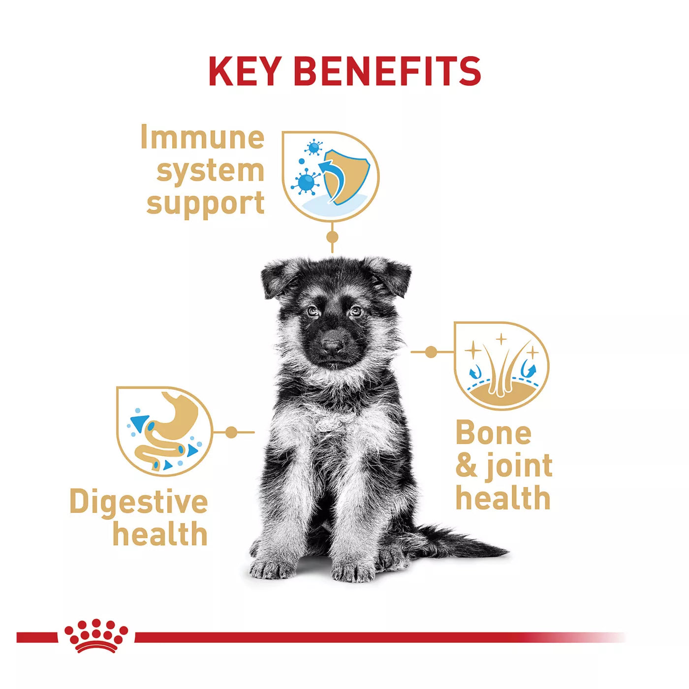 Royal Canin Breed Health Nutrition German Shepherd Breed Specific Puppy Dog Dry Food - 30 lb