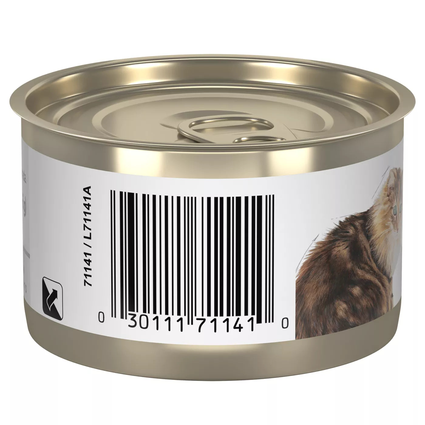 Royal Canin Feline Health Nutrition Aging 12+ Loaf Senior Cat Food 145g