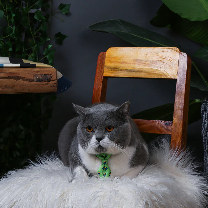 Hugsmart Space Kitty - Astronaut Cat Collar