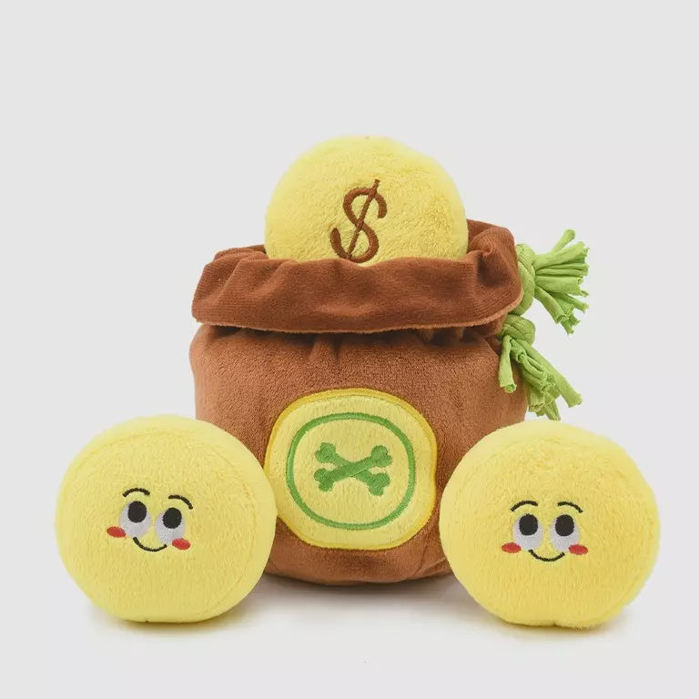 HugSmart - Pirate Pups - Treasure Bag