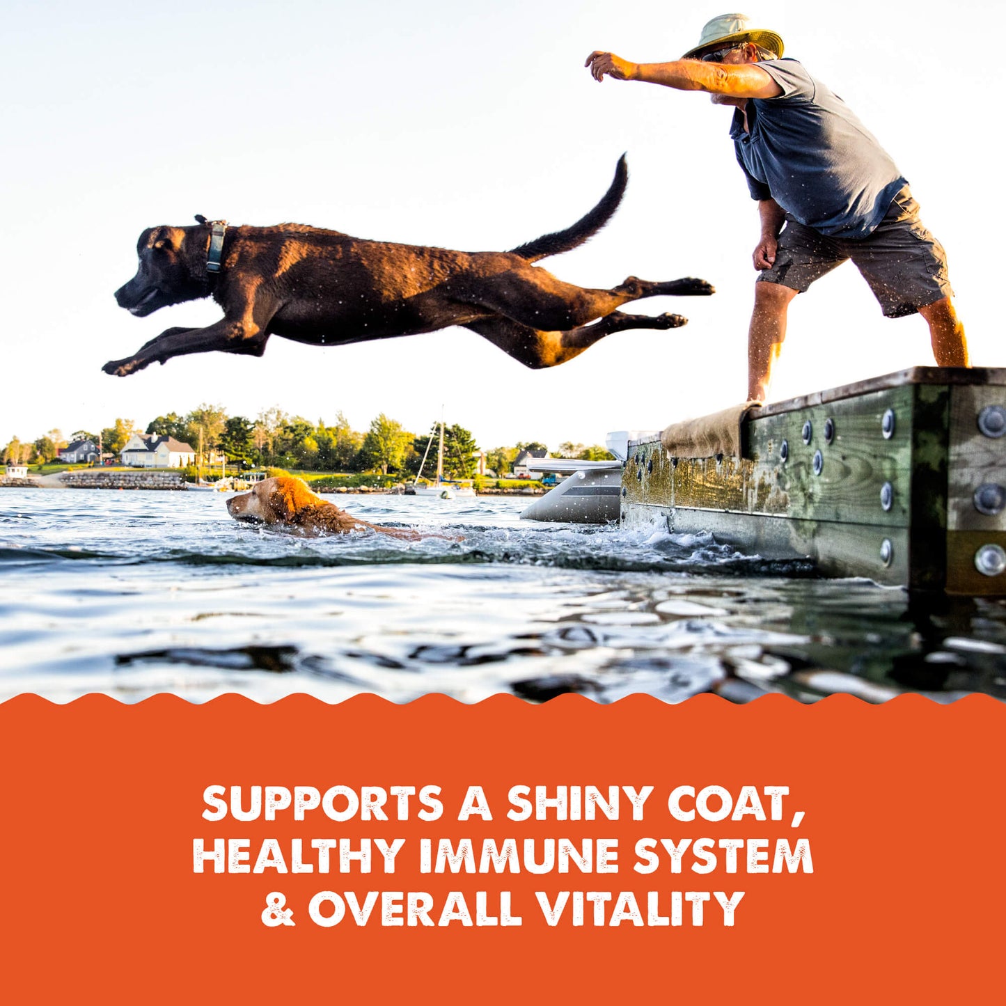 Grizzly Pet Products Salmon Plus Supplement 16oz