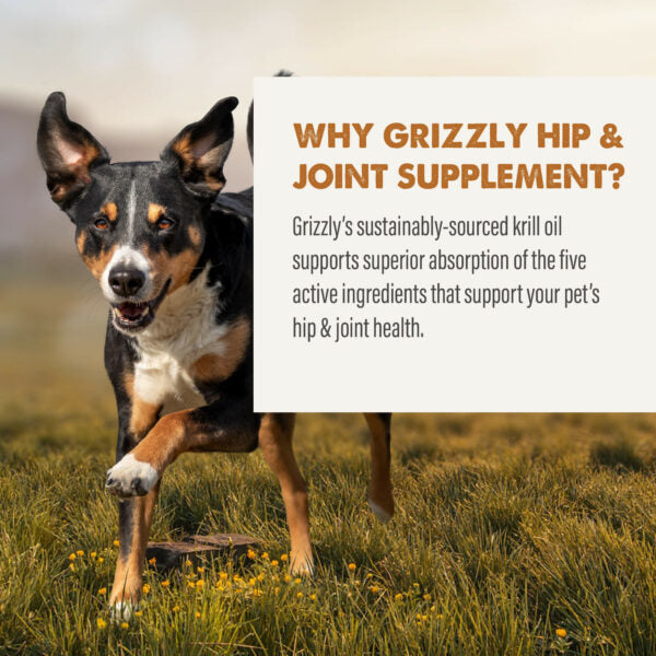 Grizzly Pet Products Hip & Joint Supplement 16oz