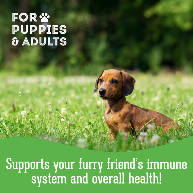 Granville Pet Treatery Stress! Whaddya Mean I'm Stressed! - Nutra Bites Calming Supplement For Dogs 240g
