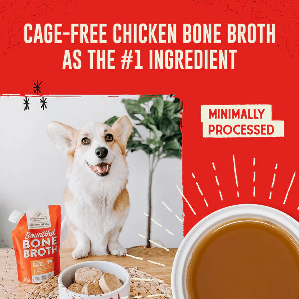Stella & Chewy's Bountiful Bone Broth Cage-Free Chicken Recipe 16oz