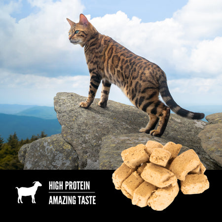Orijen Freeze Dried Cat Treats Tundra Recipe 35g