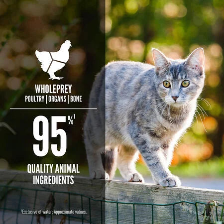 Orijen Duck & Chicken Entree 85g