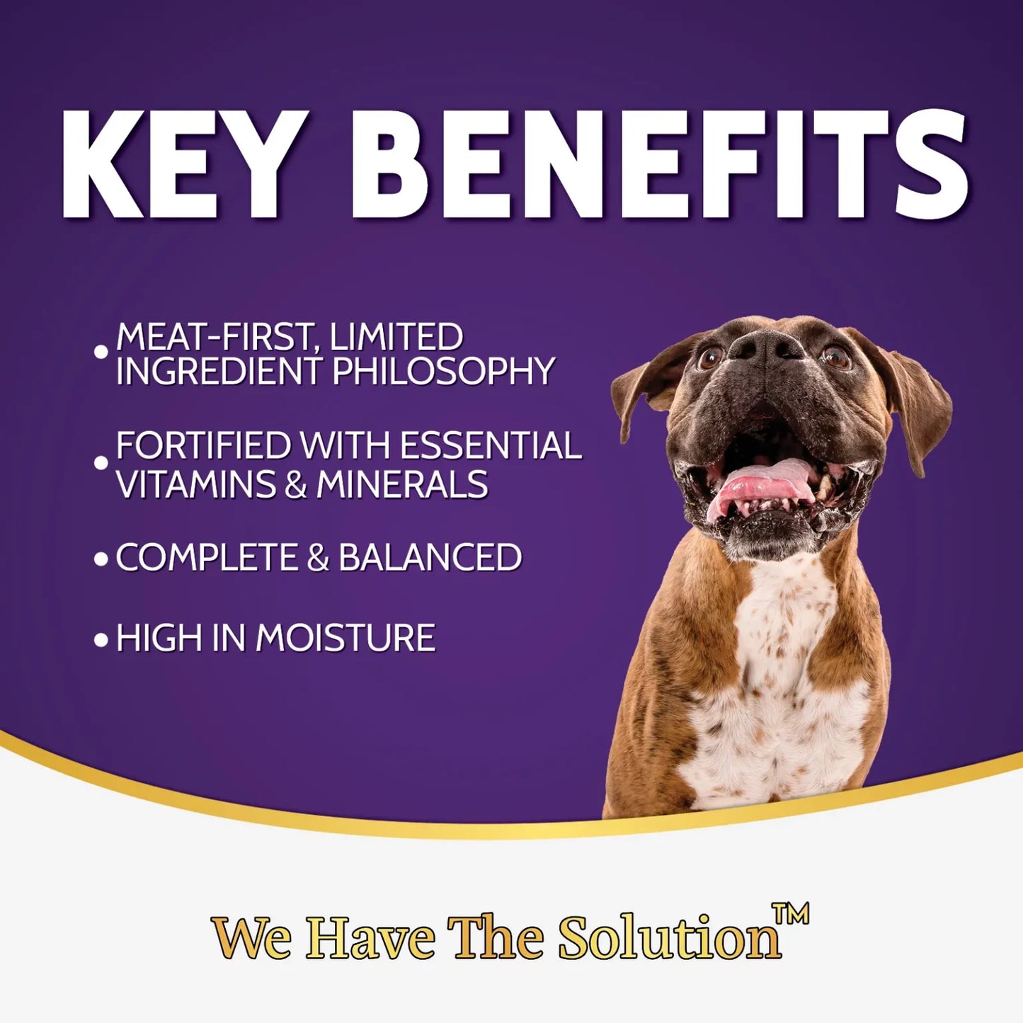 Zignature Kangaroo Formula Wet Dog Food 13oz