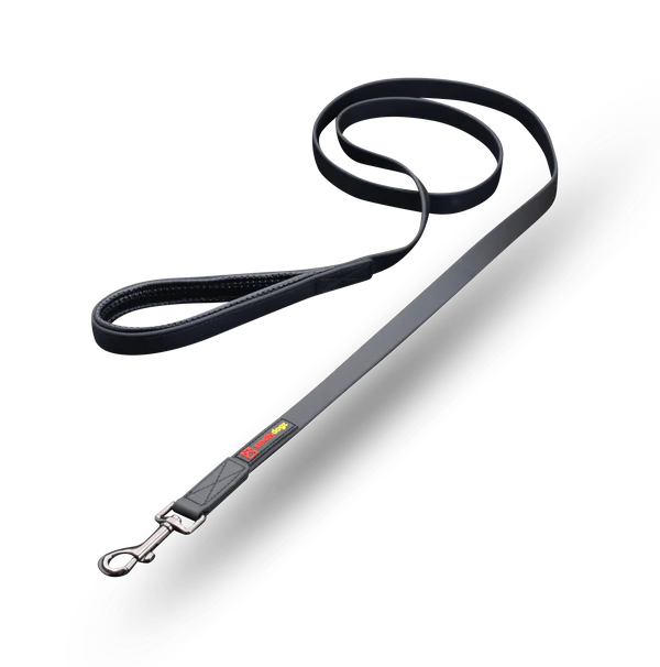 Smellydogz Small 6' Comfort Lead - Black