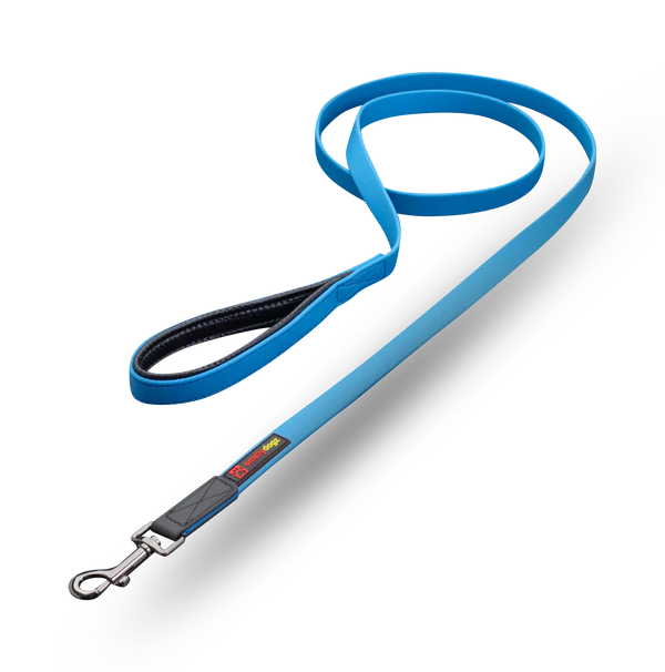 Smellydogz Small 6' Comfort Lead - Blue