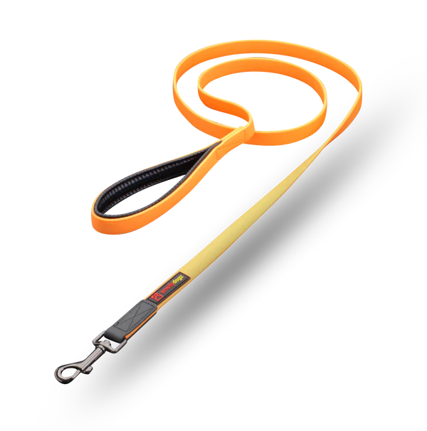Smellydogz Small 6' Comfort Lead - Orange