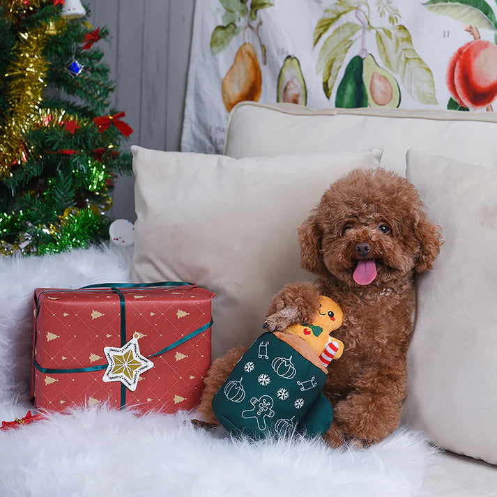 HugSmart Gingerbread Latte