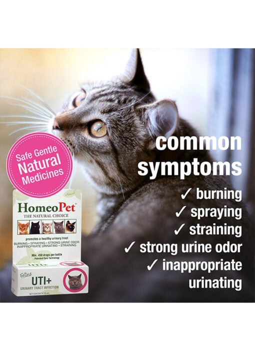 HomeoPet Feline UTI + 15ml