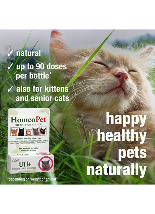 HomeoPet Feline UTI + 15ml