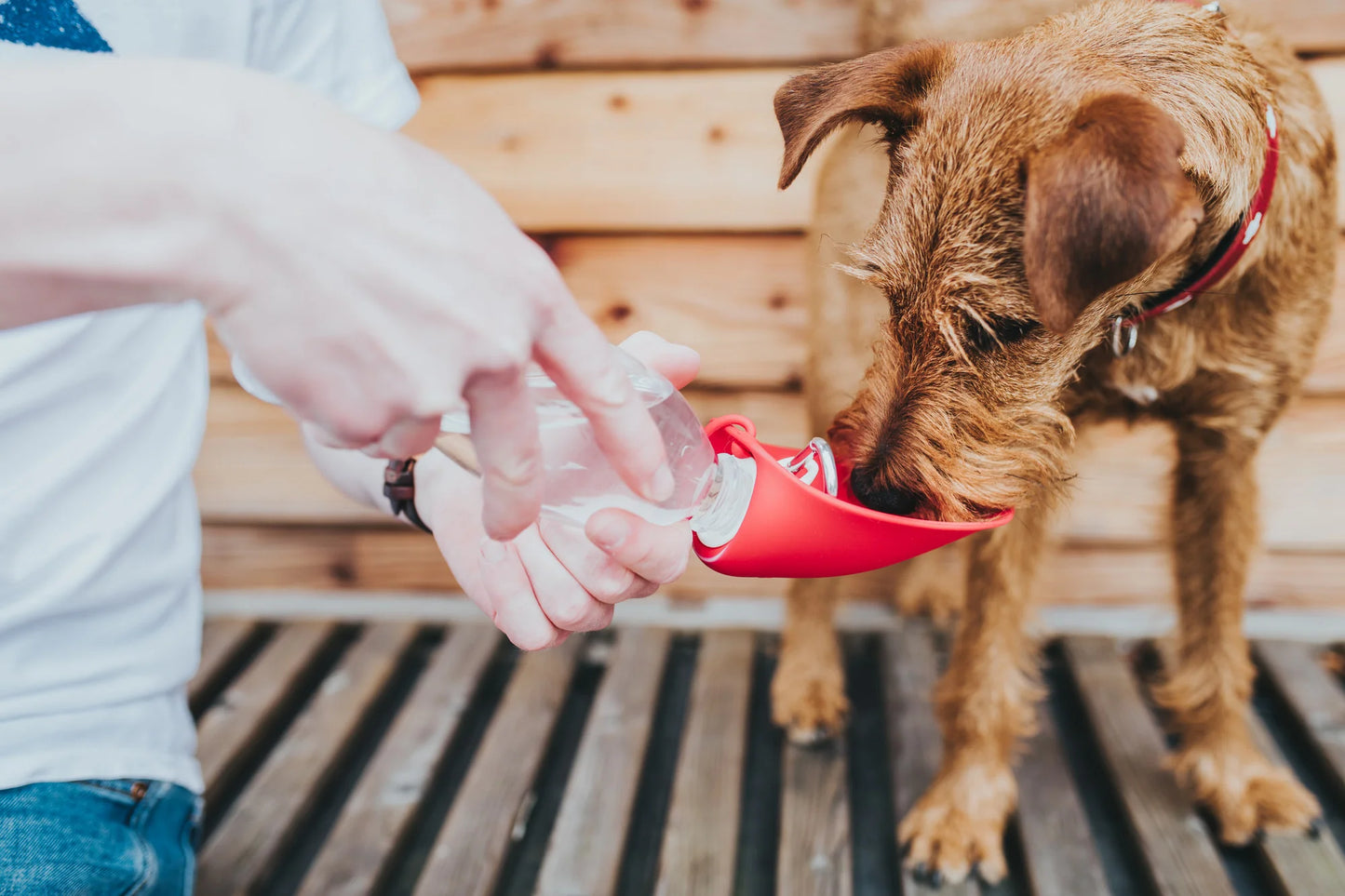 Hunter Dog Outdoor Drinking Bottle