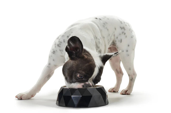Hunter Dog Melamine Kimberley Large White Feeding Bowl