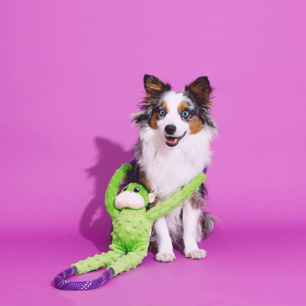 ZippyPaws Monkey RopeTugz – Green