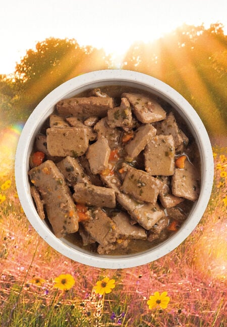 Acana Premium Chunks Beef Recipe Bone Broth 363g