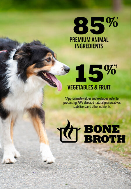 Acana Premium Chunks Pork Recipe in Bone Broth 363g