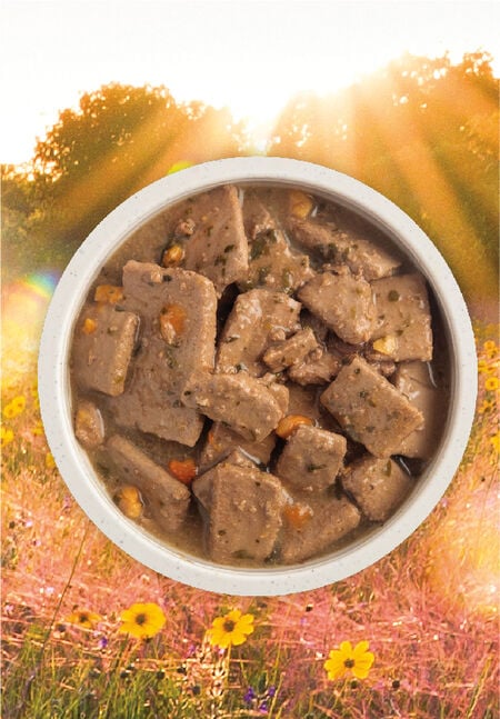 Acana Poultry Recipe in Bone Broth 363g