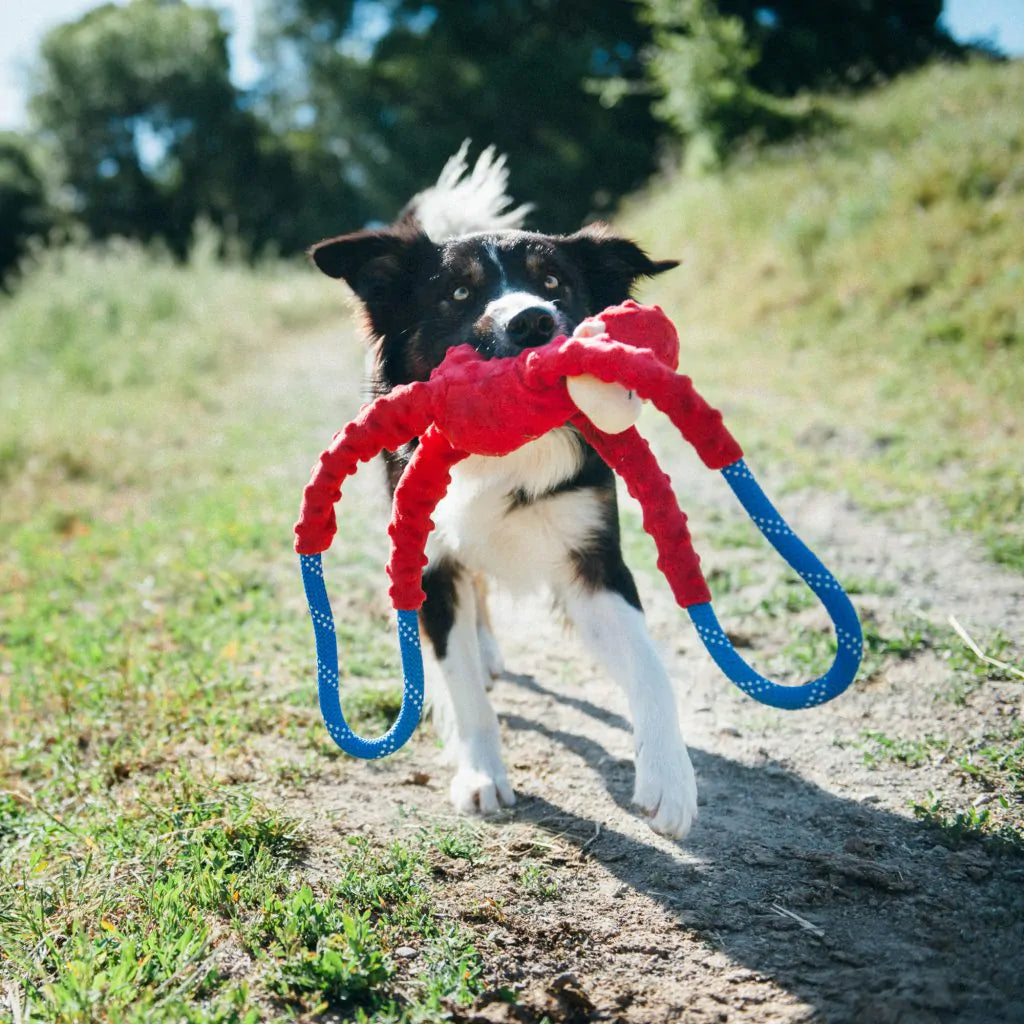 ZippyPaws Monkey RopeTugz – Red