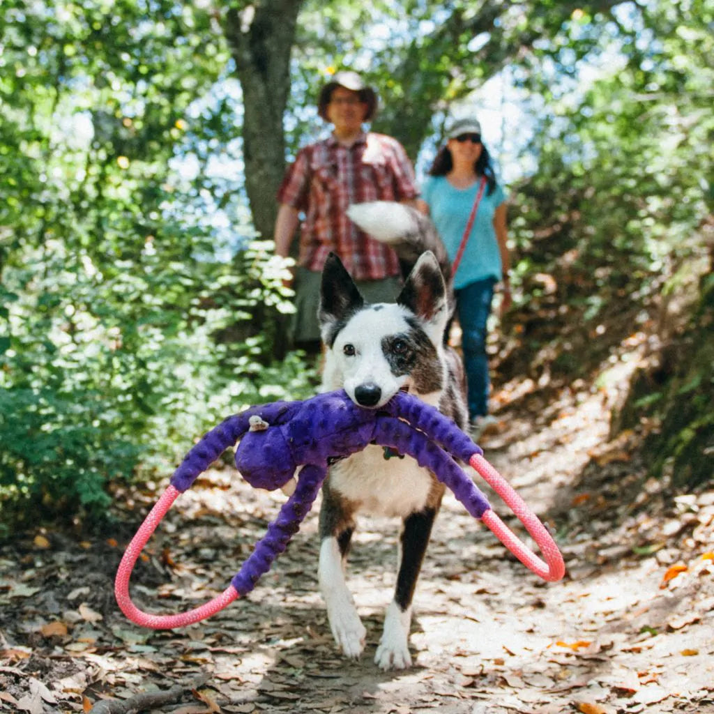 ZippyPaws Monkey RopeTugz – Purple