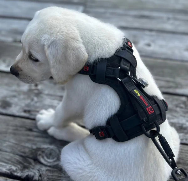 Smellydogz Black Comfort Harness - Large