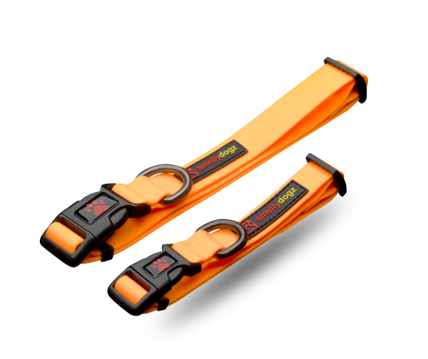Smellydogz Small/Medium Adjustable Comfort Collar - Orange