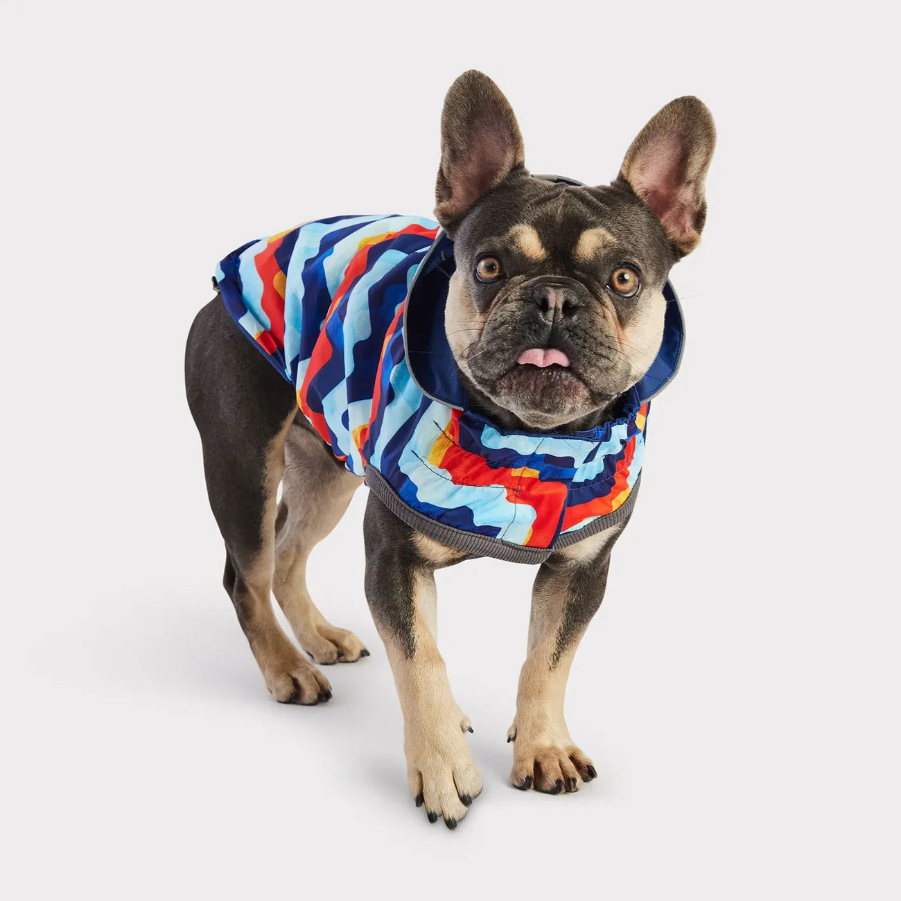 GF Pets Zoom Reversible Dog Raincoat | Navy Retro - Medium
