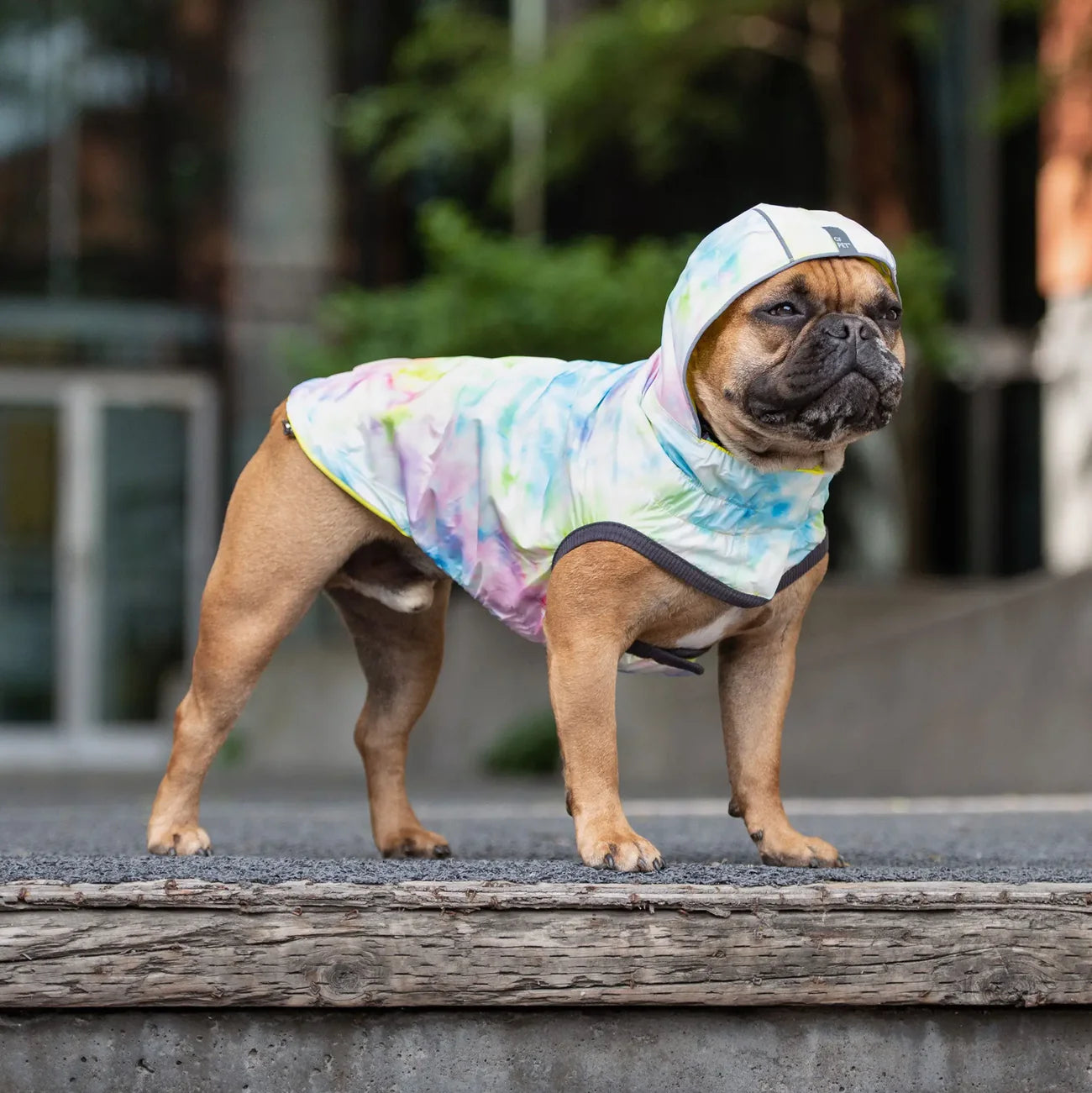 GF Pets Zoom Reversible Dog Raincoat | Neon Yellow and Tie-Dye - Large