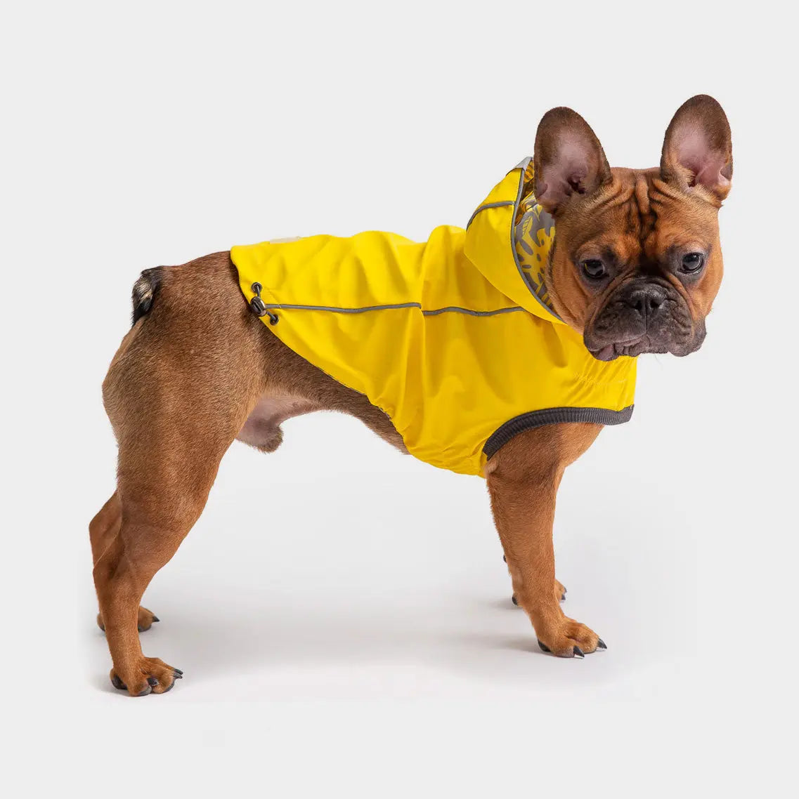 GF Pets Reversible Dog Raincoat | Yellow Leaves - Medium