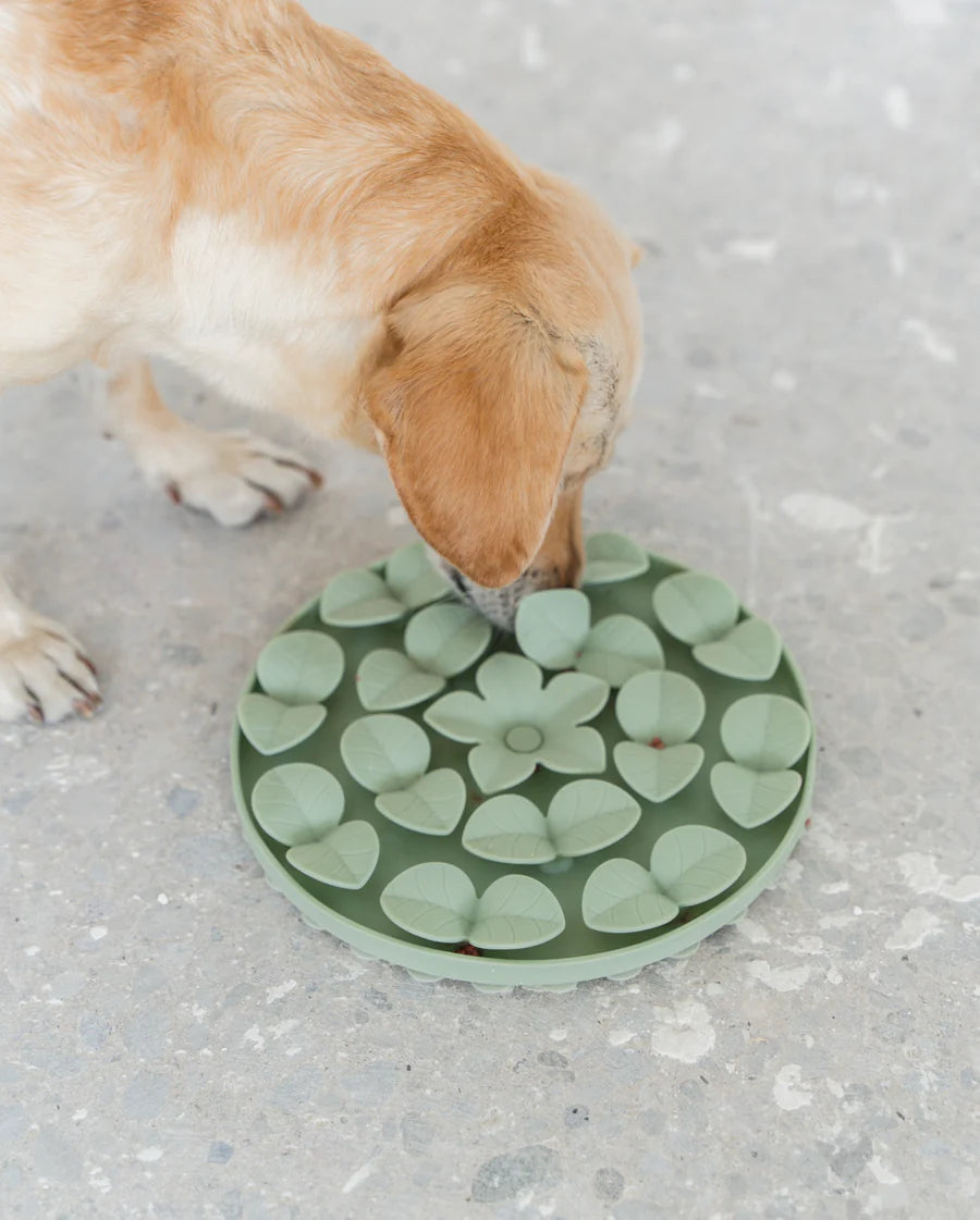 DexyPaws Silicone Enrichment Snuffle Mat - Sage Green