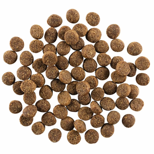 Go! Solutions Skin & Coat Salmon Recipe with Grains 12lb