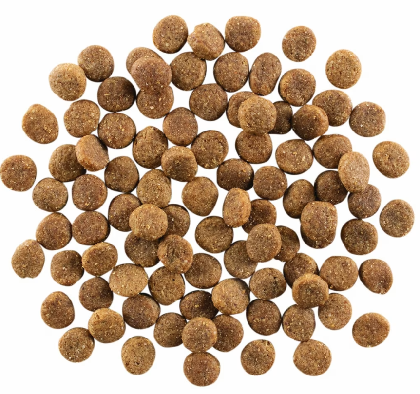 Go! Solutions Skin & Coat Chicken Recipe with Grains 12lb
