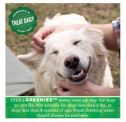 Greenies Large Adult Dental Treats Original 170g