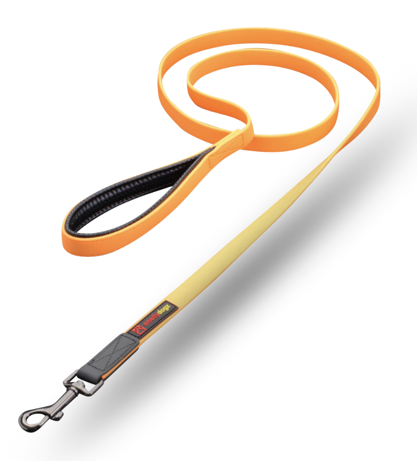 Smellydogz Large 6' Comfort Lead - Orange