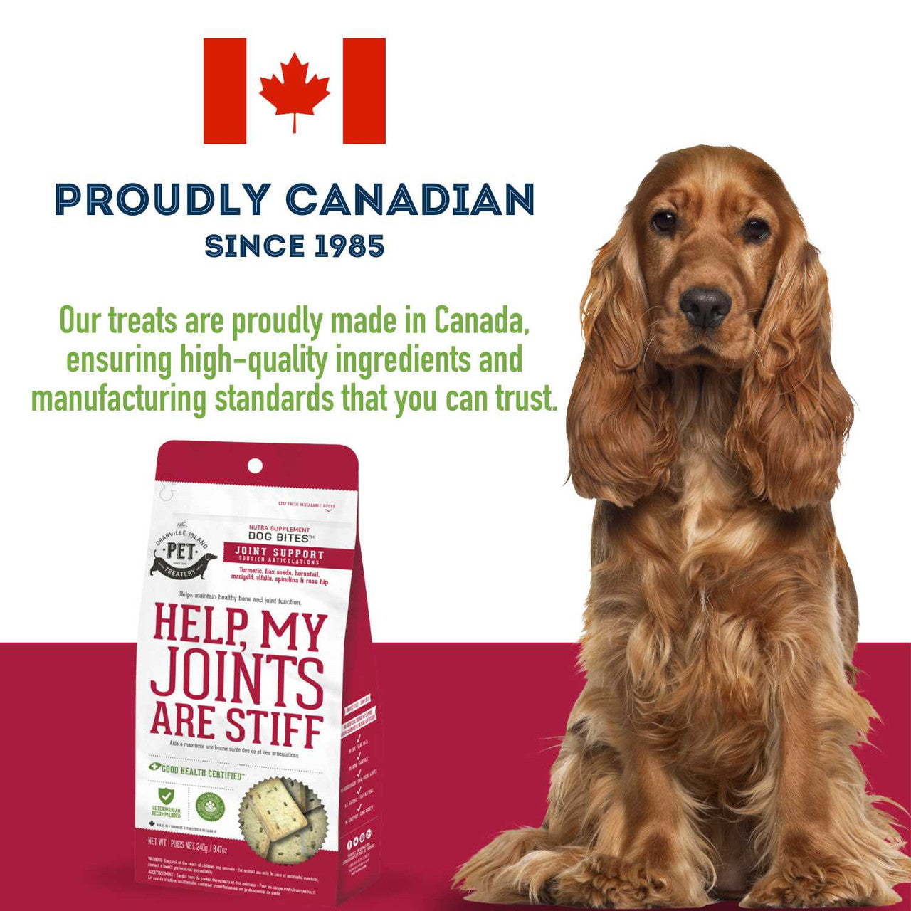 Granville Pet Treatery Help, My Joints are Stiff - Nutra Bites Hip & Joint Supplement For Dogs 240g