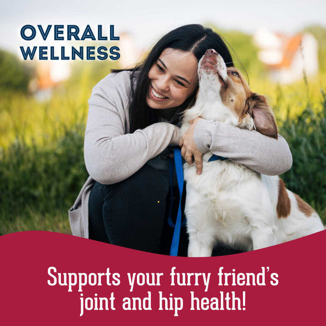 Granville Pet Treatery Help, My Joints are Stiff - Nutra Bites Hip & Joint Supplement For Dogs 240g