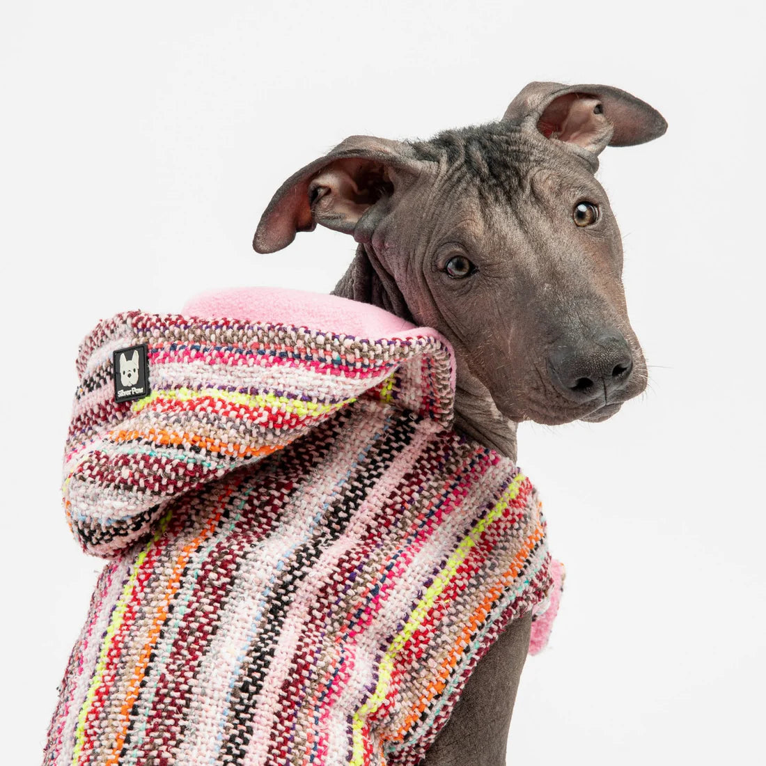 Silver Paw Pink Baja Dog Poncho - XXL