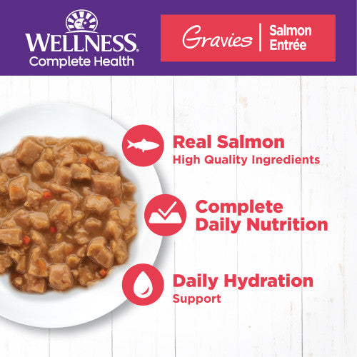Wellness Complete Health Gravies Salmon Entree Bits 5.5oz