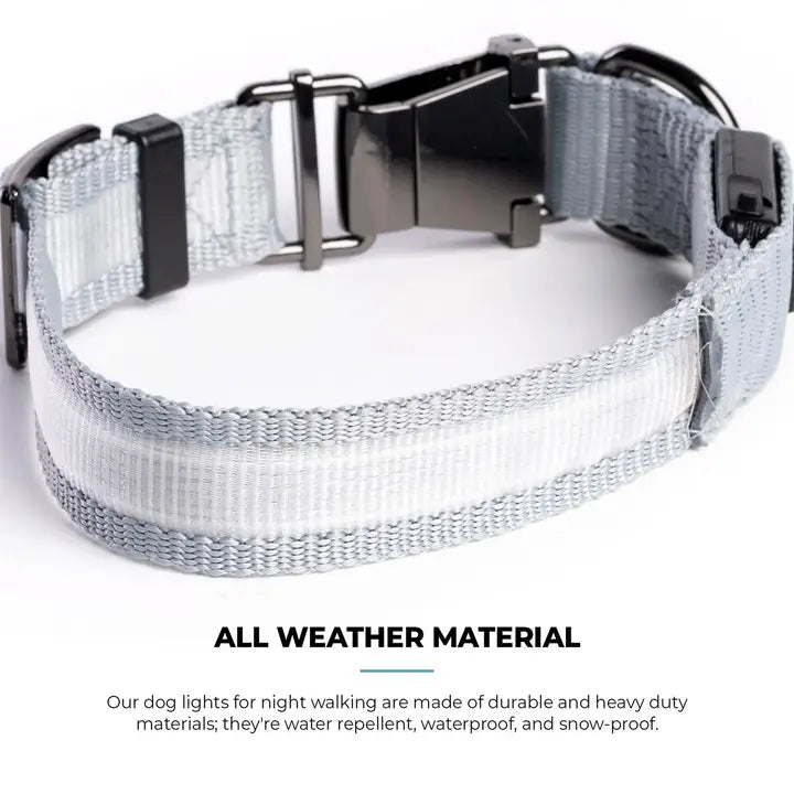 Silver Paw LED Collar Grey XS/Small