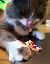 Eco-Pup Cat Nip Toss Knot Toy