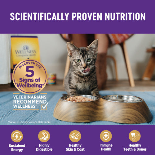 Wellness Complete Health Gravies Tuna Entree Bits 5.5oz