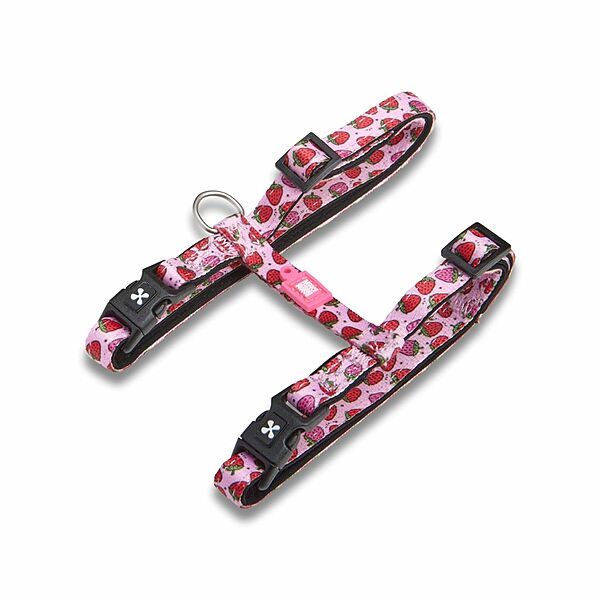 Max & Molly Urban Cat Harness/Leash Set - Strawberry Dream