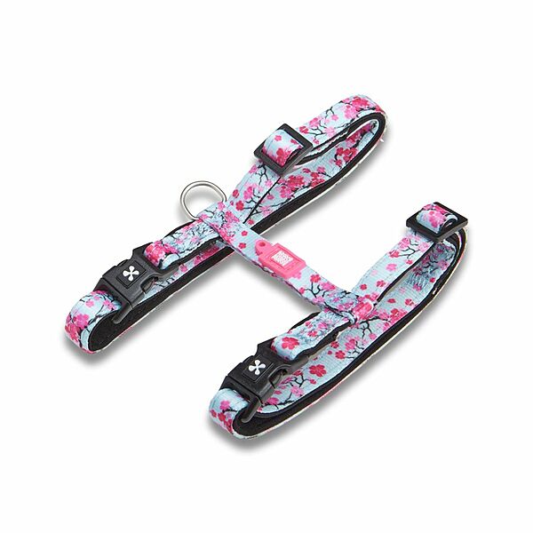 Max & Molly Urban Cat Harness/Leash Set - Cherry Bloom