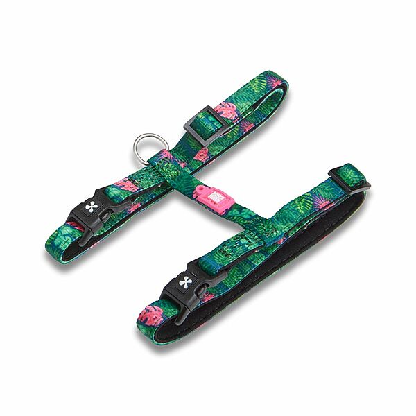 Max & Molly Urban Cat Harness/Leash Set - Tropical